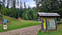 Chilia lui Daniil Sihastrul din jud Suceava