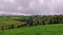 Satele Tonchei si Chicera din Bucovina