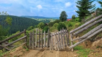 Satele Tonchei si Chicera din Bucovina