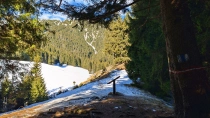 Prapastiile Zarnestilor - Cabana Curmatura - Piatra Mica