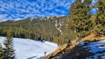 Prapastiile Zarnestilor - Cabana Curmatura - Piatra Mica