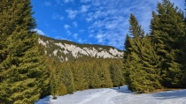 Prapastiile Zarnestilor - Cabana Curmatura - Piatra Mica