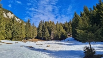 Prapastiile Zarnestilor - Cabana Curmatura - Piatra Mica