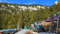 Prapastiile Zarnestilor - Cabana Curmatura - Piatra Mica