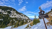 Prapastiile Zarnestilor - Cabana Curmatura - Piatra Mica