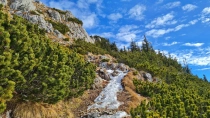 Prapastiile Zarnestilor - Cabana Curmatura - Piatra Mica