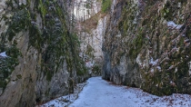 Prapastiile Zarnestilor - Cabana Curmatura - Piatra Mica