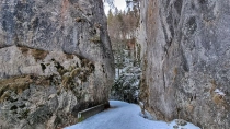 Prapastiile Zarnestilor - Cabana Curmatura - Piatra Mica
