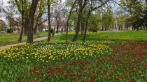 Primavara in Timisoara