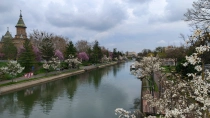 Primavara in Timisoara