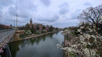 Primavara in Timisoara