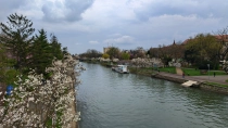 Primavara in Timisoara
