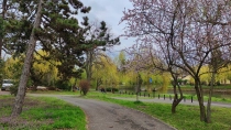 Primavara in Timisoara