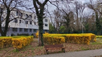 Primavara in Timisoara