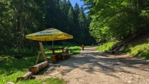 Canionul 7 Scari din jud Brasov