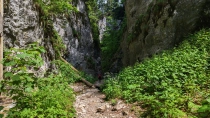 Canionul 7 Scari din jud Brasov