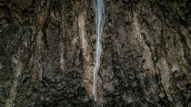 Pestera Ponor (Pestera cu Oase)