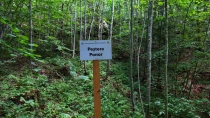 Pestera Ponor (Pestera cu Oase)