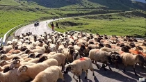 Soseaua Transfăgărășan - de la Cârțișoara la Bâlea Lac