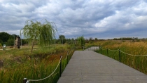 Parcul Natural Lunca Muresului din jud Arad