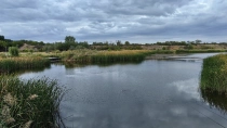Parcul Natural Lunca Muresului din jud Arad