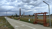 Parcul Natural Lunca Muresului din jud Arad