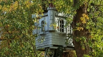 Parcul Natural Lunca Muresului din jud Arad