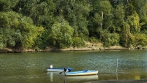 Parcul Natural Lunca Muresului din jud Arad