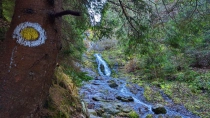 Cascada Rausor din jud Hunedoara