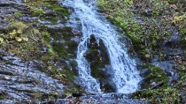 Cascada Rausor din jud Hunedoara