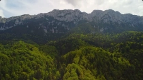 Paradisul Verde de la Poalele Pietrei Craiului - Plaiul Foii