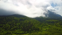 Paradisul Verde de la Poalele Pietrei Craiului - Plaiul Foii