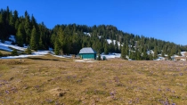 Traseu din Padis la Varful Biserica Motului din jud Bihor