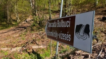 Cascada Bulbuci din Muntii Apuseni