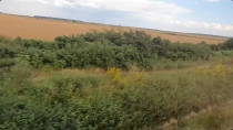 Calatorie cu trenul pe ruta Darza - Scrovistea