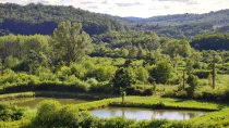 Lacul Tauţ din judetul Arad