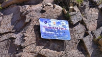 Transalpina - Cea mai inalta sosea din Romania