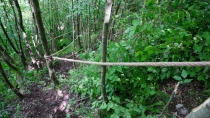 Traseu tematic spre Cetatea dacică Bănița deschis