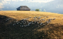 Via Transilvanica – Drumul care unește România!